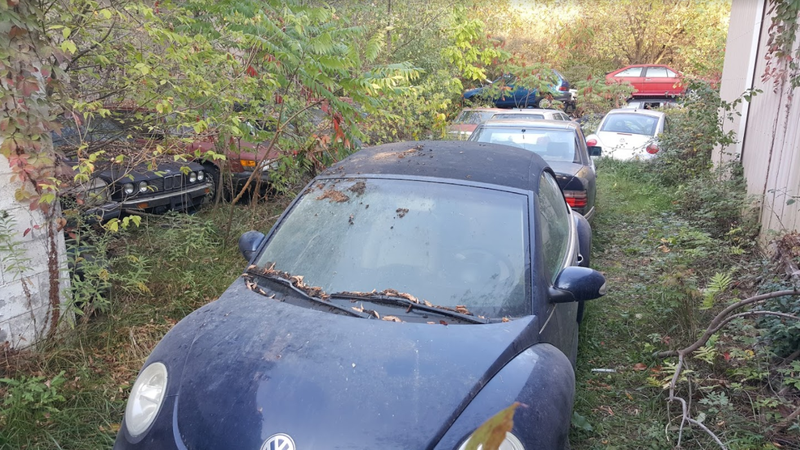Illustration for article titled Michigan Man Forced To Sell 20 Cars A Month Might Just Pull It Off Now